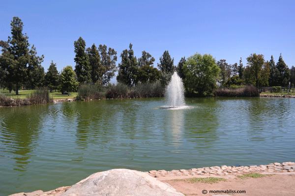 Water feature in lake