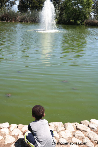 Kids viewing water feature in lake