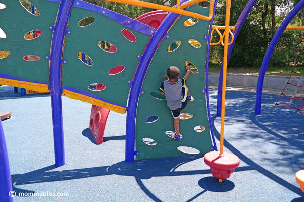 Playground ladder