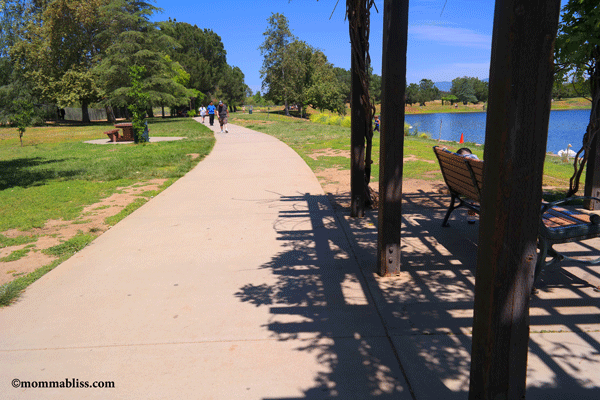 path near lake