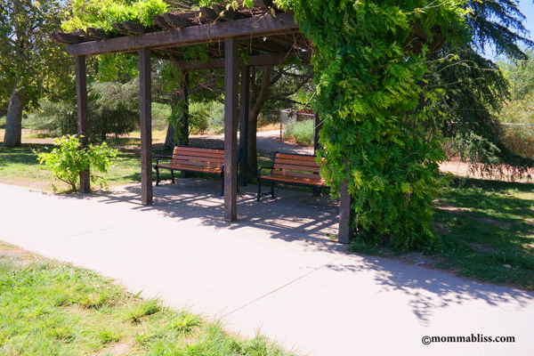 Lake Bench Area