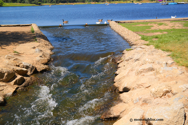 stream off lake