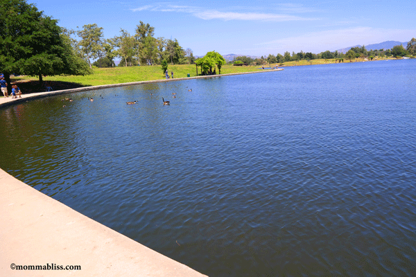 Lake Balboa Park - Picture of Lake Balboa Park, Los Angeles