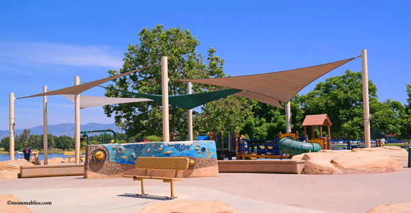 Activity Area & Play Structure