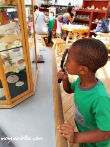 Kid Exploring Shells