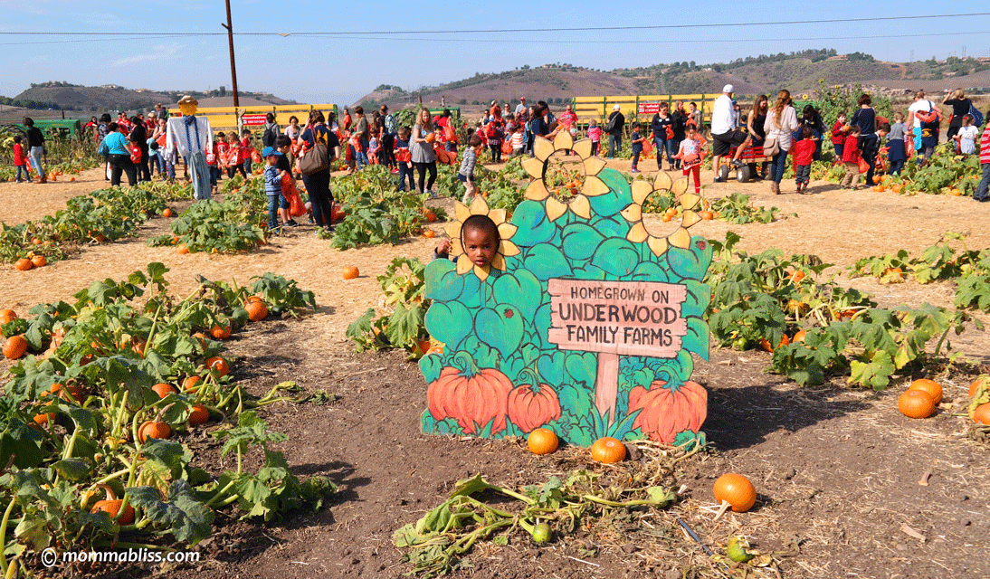 Underwood Family Farms