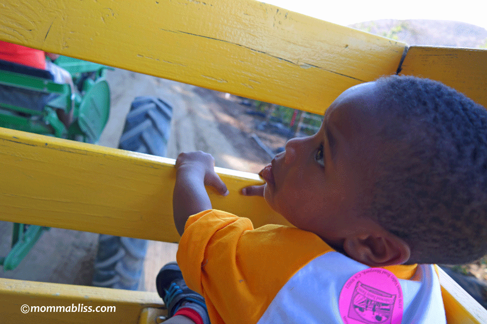 tractor ride